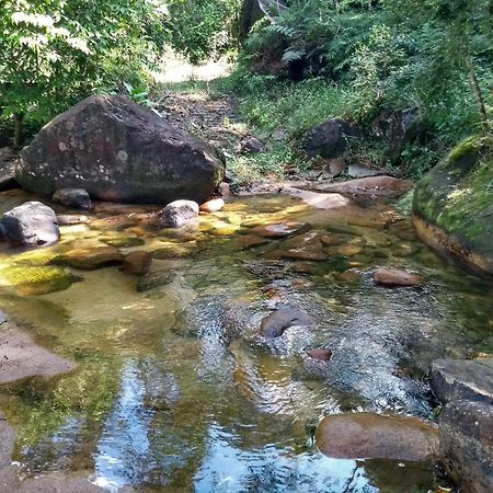 Hotel Fazenda Monte Crista Rio Bonito  Екстер'єр фото